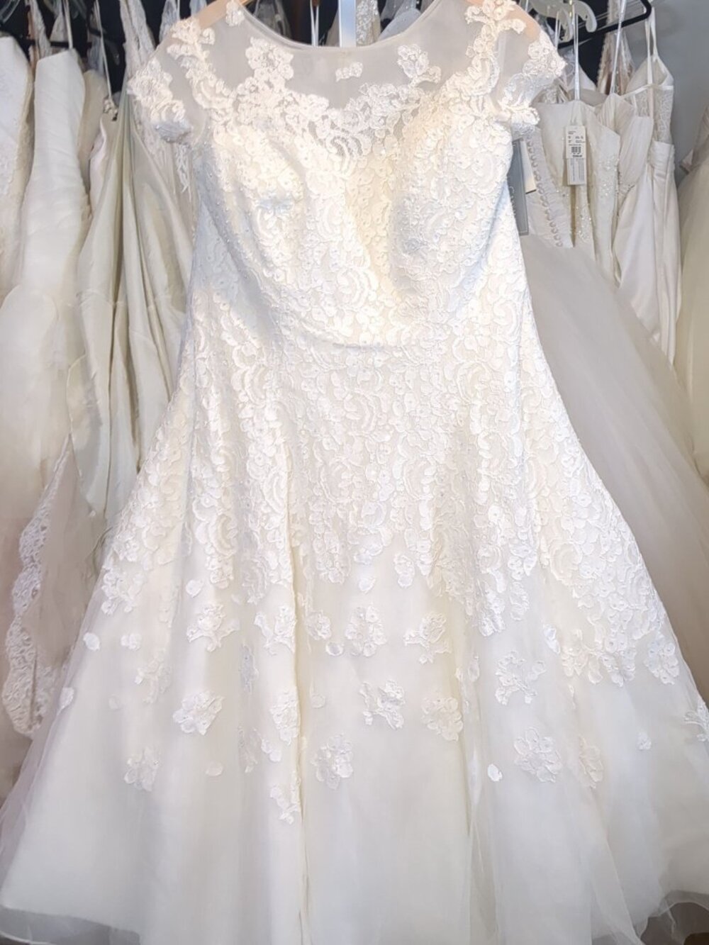 Oleg Cassini Cap Sleeve Illusion Neck Tea-Length Wedding Dress Ivory 16W NWT - Picture 4 of 6